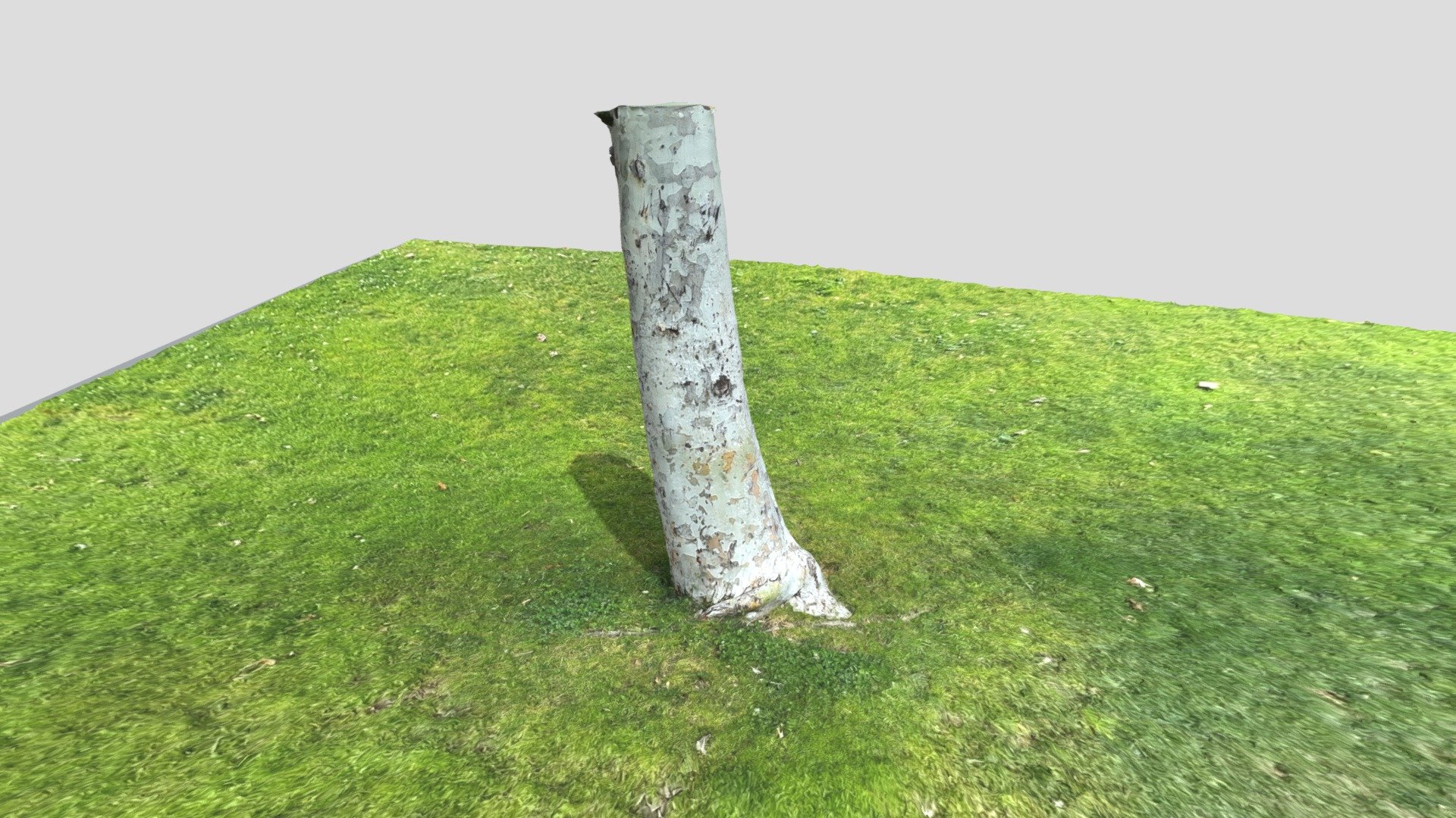 Tree Trunk Download Free 3D model by garagestudios [8121c5f] Sketchfab