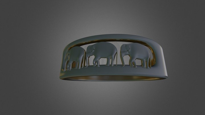 Elephant Ring 3D Model