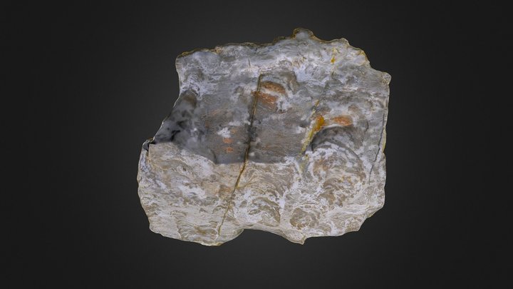 Stromatolite: Cryptozoon rosemontensis (Cornell)