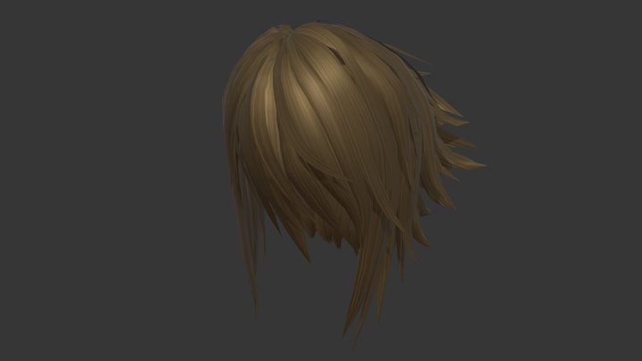 Hair 3D Model