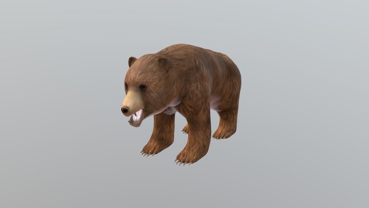 The Brown Bear 3D Model