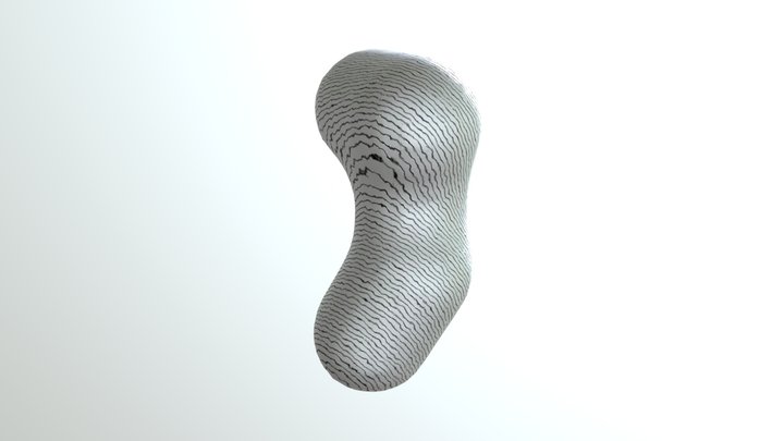 bean 3D Model