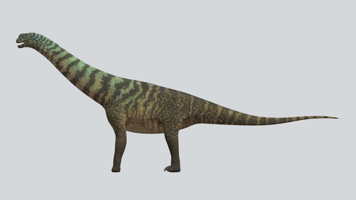 Accurate Camarasaurus supremus reupload – Free 3D Model STL