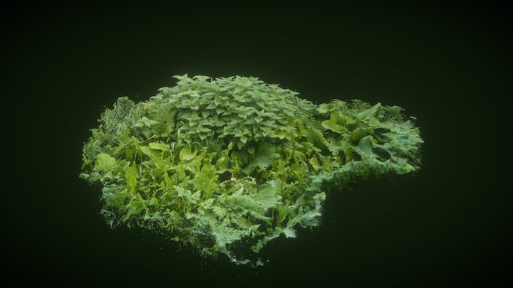 Scan Unscannable: Grass Cloud 1 3D Model