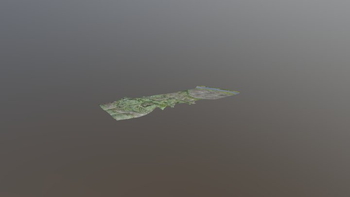 model 3D Model