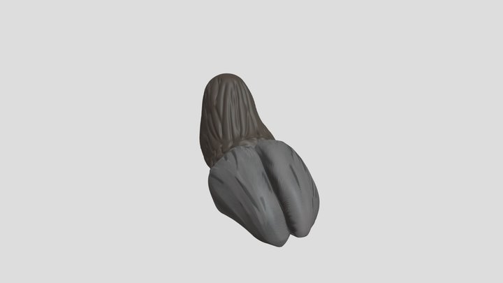 Нага 3D Model