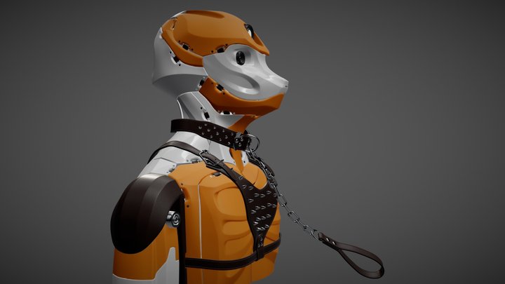 Rob-O-range series: Watch Dog 3D Model