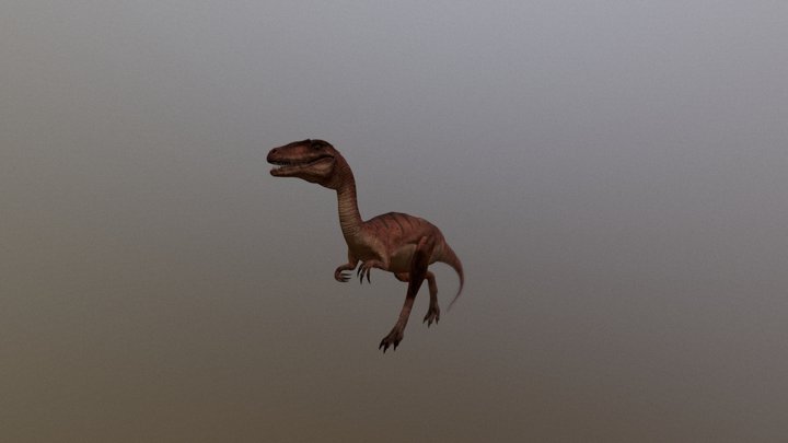 Coelophysis Run (Video Game Project) 3D Model