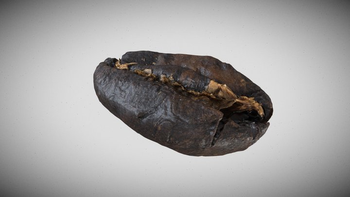 Coffee beans 3D Model
