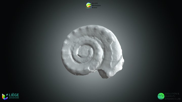 Gastéropode - Porcellia. – Kostenloses 3D-Modell STL