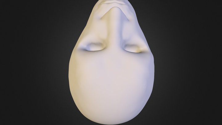 Not very great head 3D Model