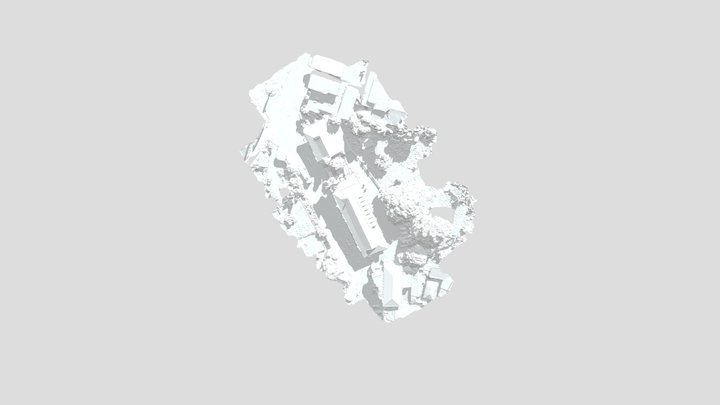 CNDRS_simplified_3d_mesh 3D Model