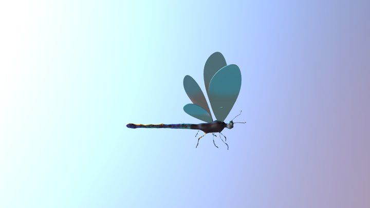 11 3D Model