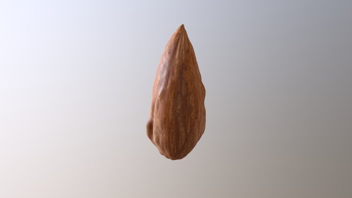 Almond 3D Model