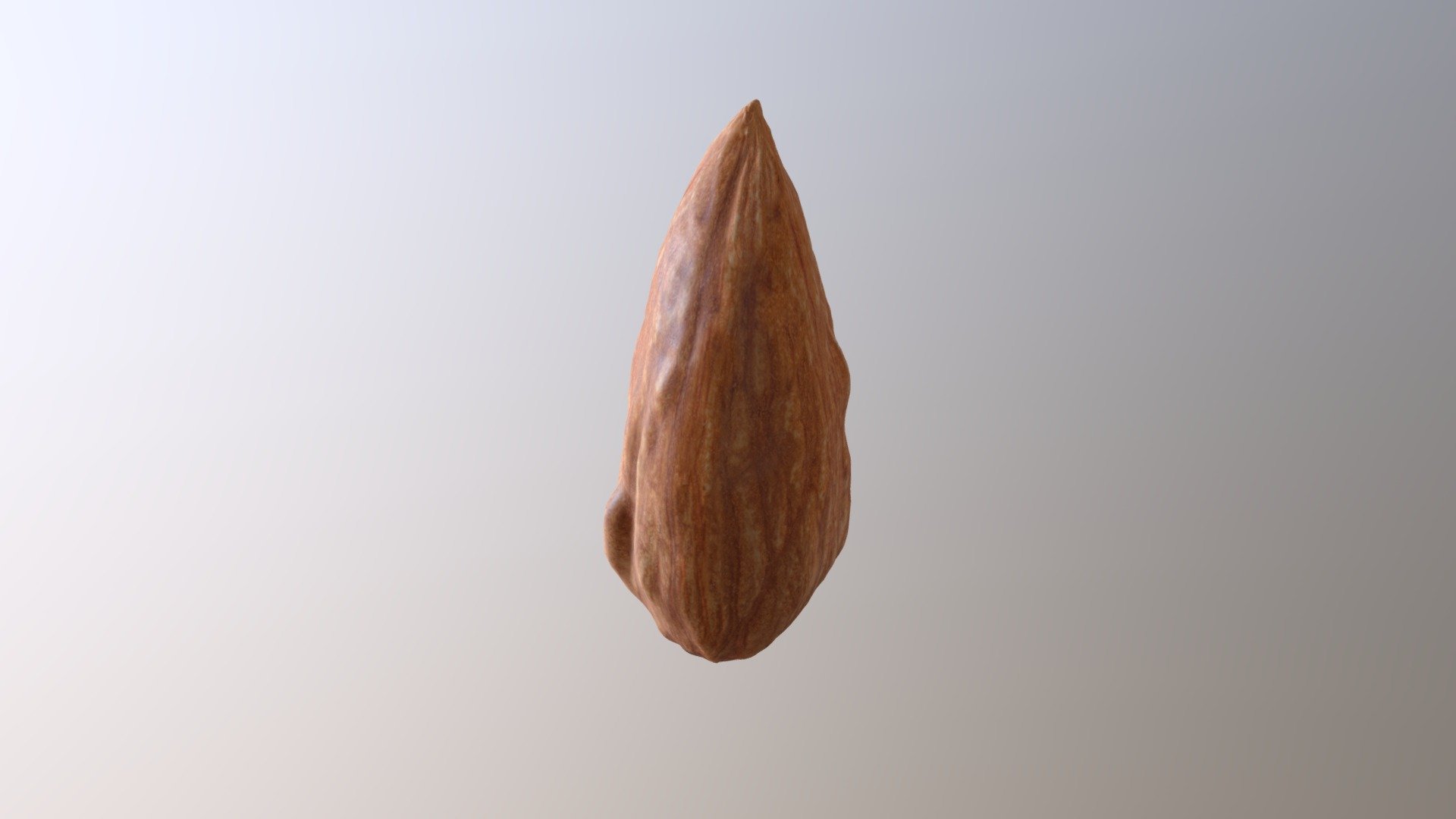 Almond - 3D model by ikQue [815690c] - Sketchfab