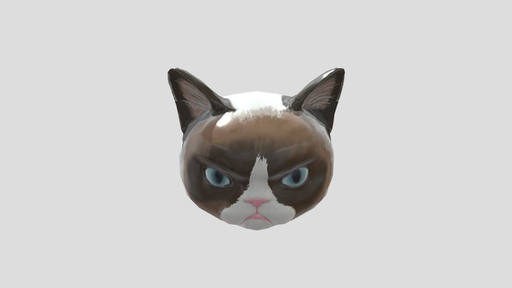Grumpy cat 3D Model