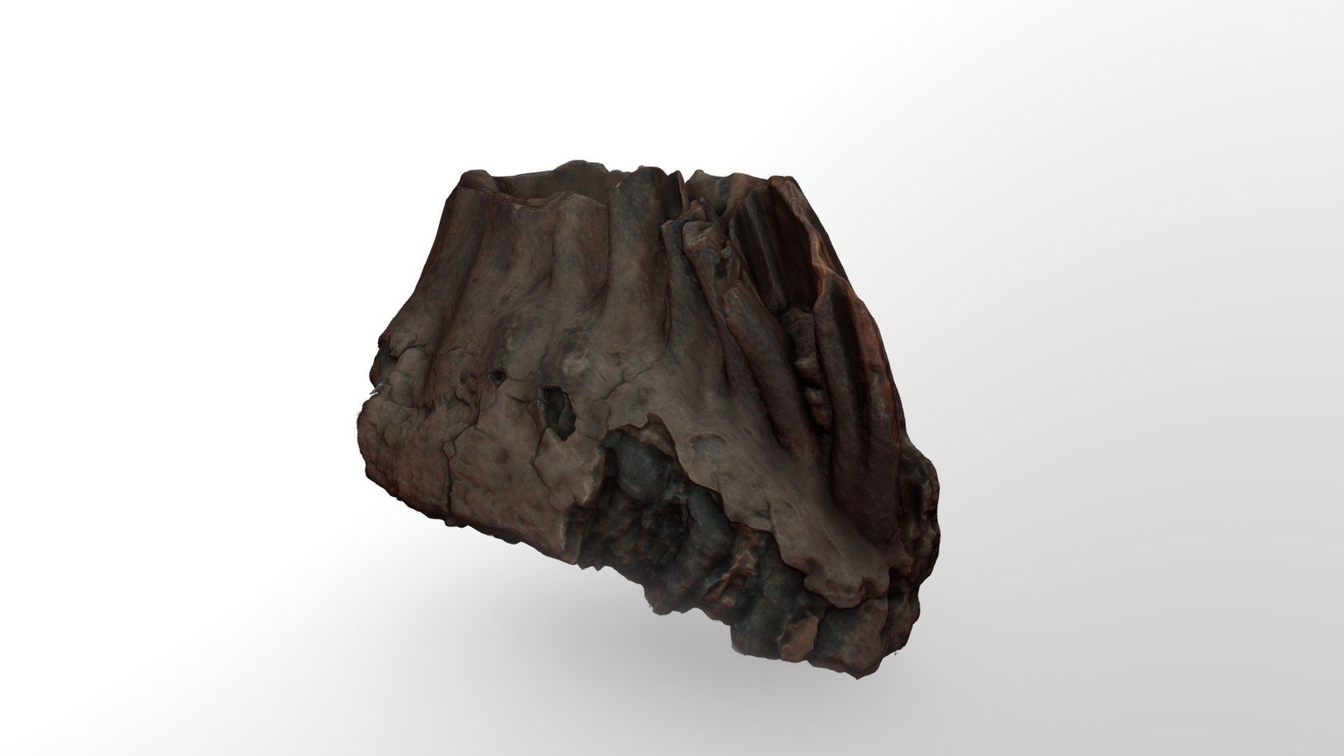 Зуб мамонта - 3D model by pspumuseum [815a9fd] - Sketchfab