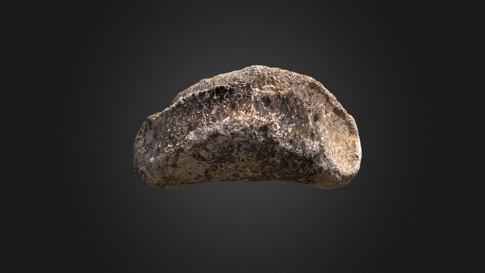 3D model Edmontosaurus Toe - This is a 3D model of the Edmontosaurus Toe. The 3D model is about a rock with a dark background.
