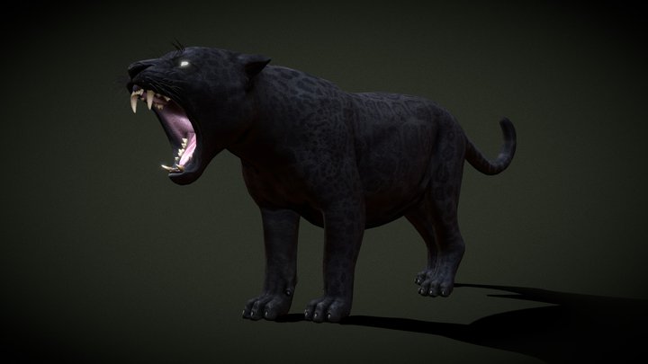 Black jaguar 3D Model