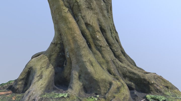 Tree trunk #4 - Photoscanned 3D Model