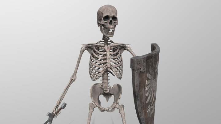 Skeleton Warrior 3D Model