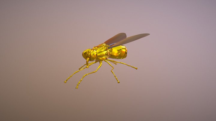 Gold Fly 3D Model