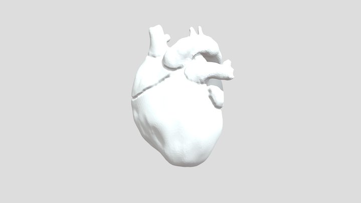 Heart Sculpt 3D Model