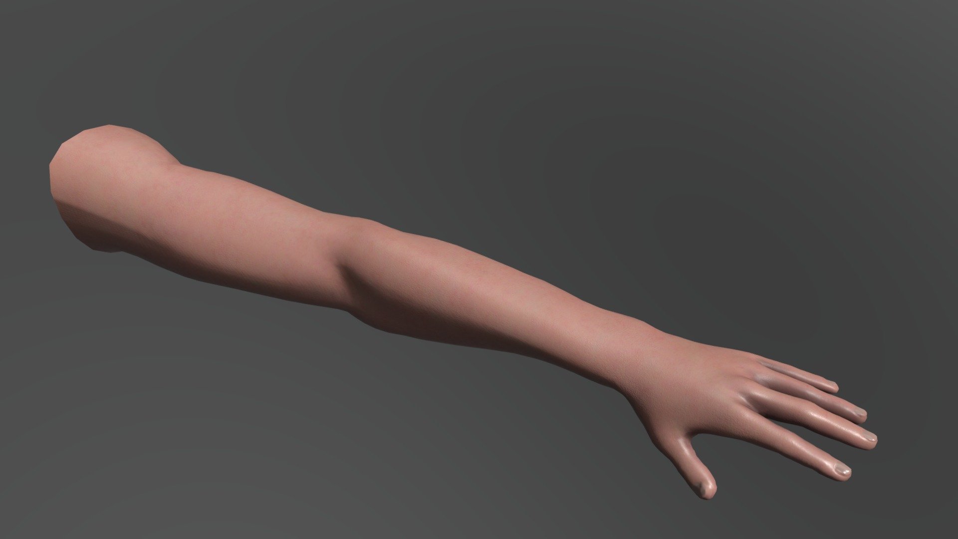 FPS Arms with Advanced - Download Free 3D model aidanp (@bionic_leaf)