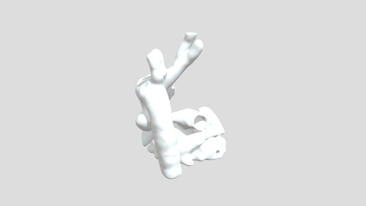 Pulmonary Atresia 3D Model