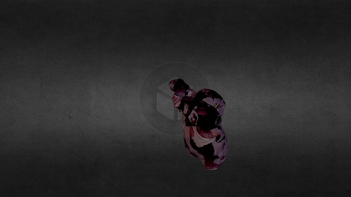 Wawo 3D Model