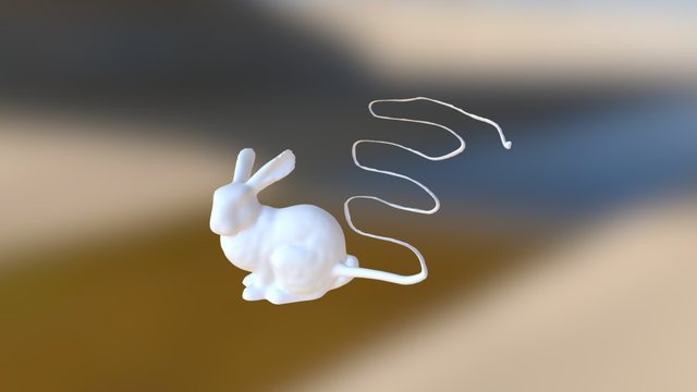 長尾兔 3D Model