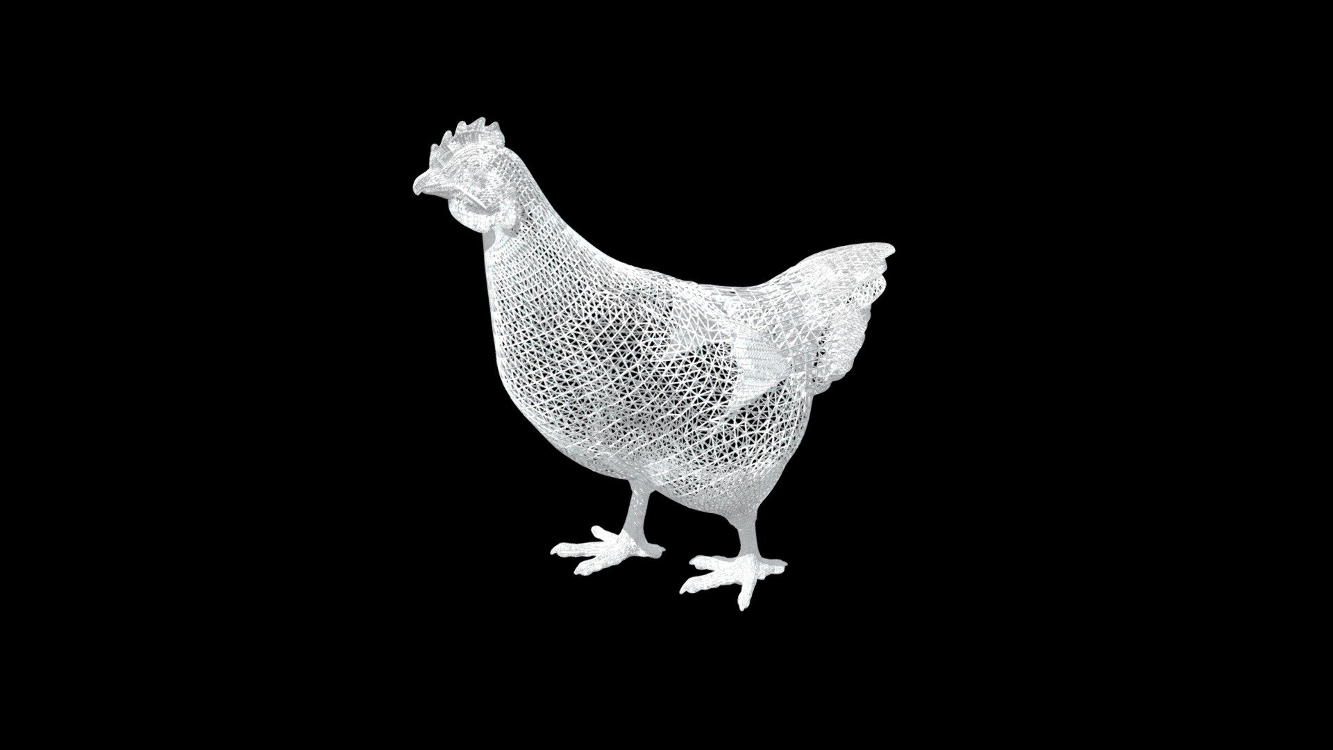 chicken1