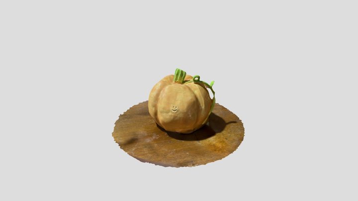 pumpkin_19_20_58 3D Model