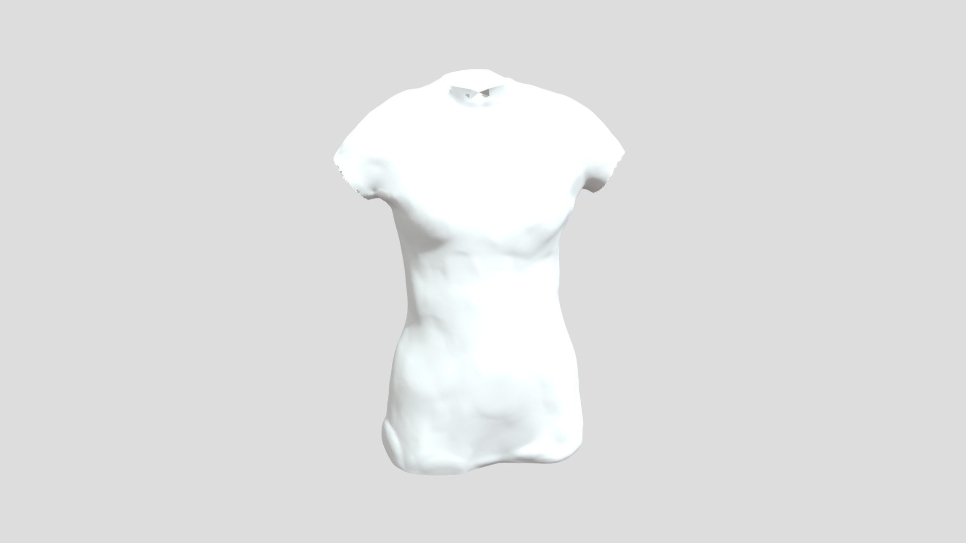 Hinako Torso