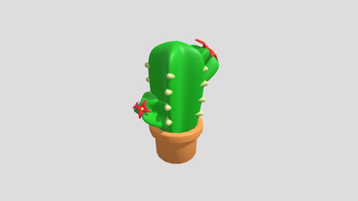 Simple 3D Cactus🌵