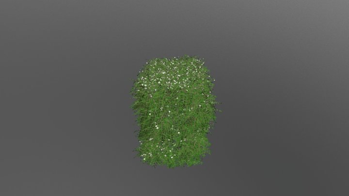 bushes 3D Model