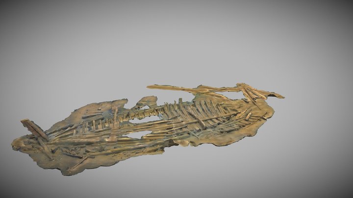Ämpyrin hylky - The wreck of Ämpyri 3D Model