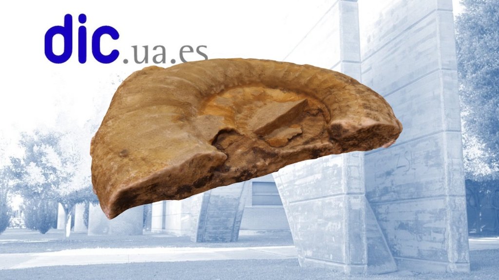 009 Fossil