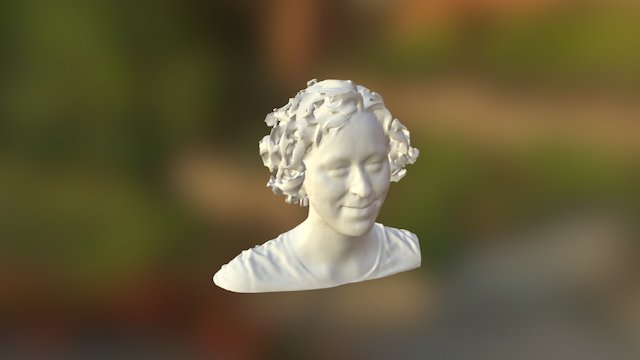 Test Head - Hair Reduced 2x75% 3D Model