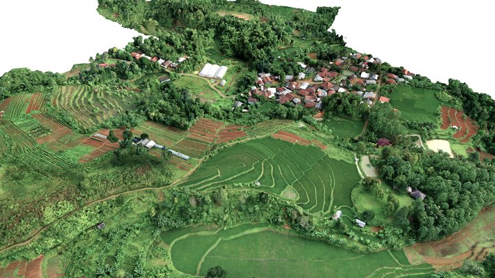 3D CIBULUH 3D Model
