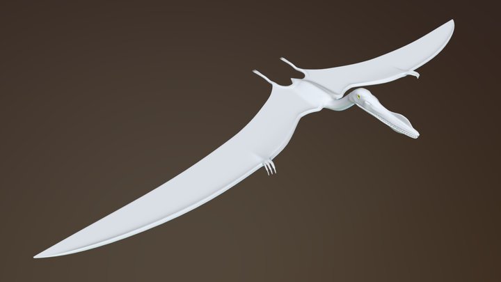 Anhanguera- Dinosaur 3D Model