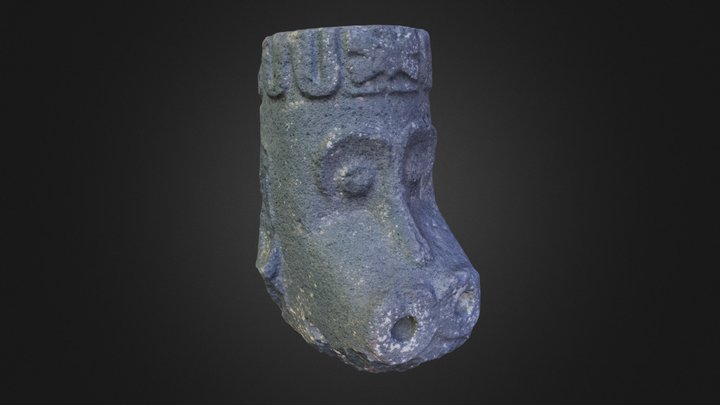 Cabeza de Mono 3D Model