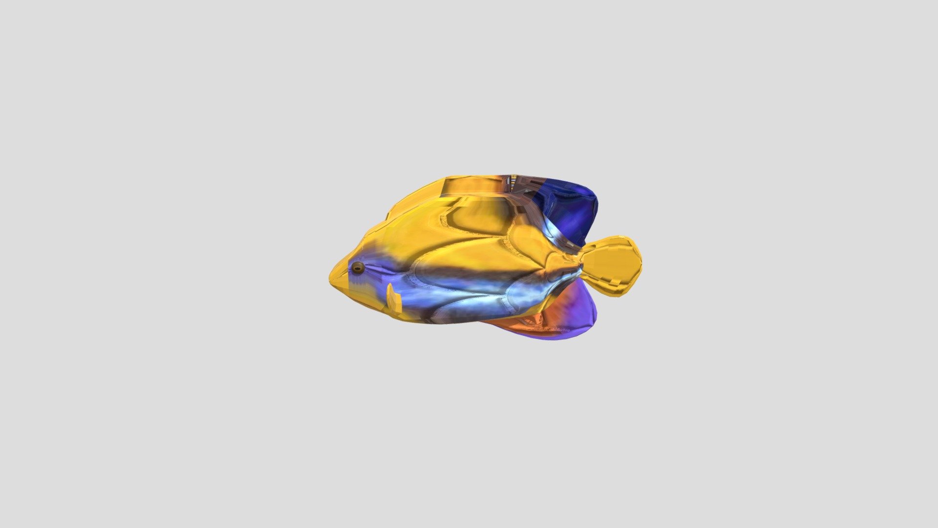 Angelfish - Download Free 3D model by NormanH [8191be1] - Sketchfab