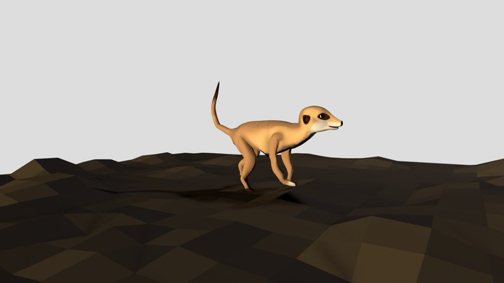 Romy Weber Meerkat Animation 3D Model