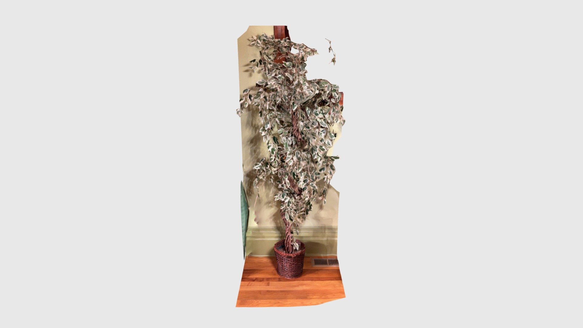 Decor, plant