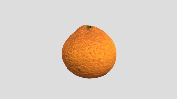 Orange for project 3D Model