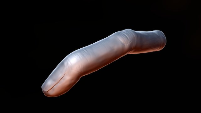 Pointer finger 3D Model