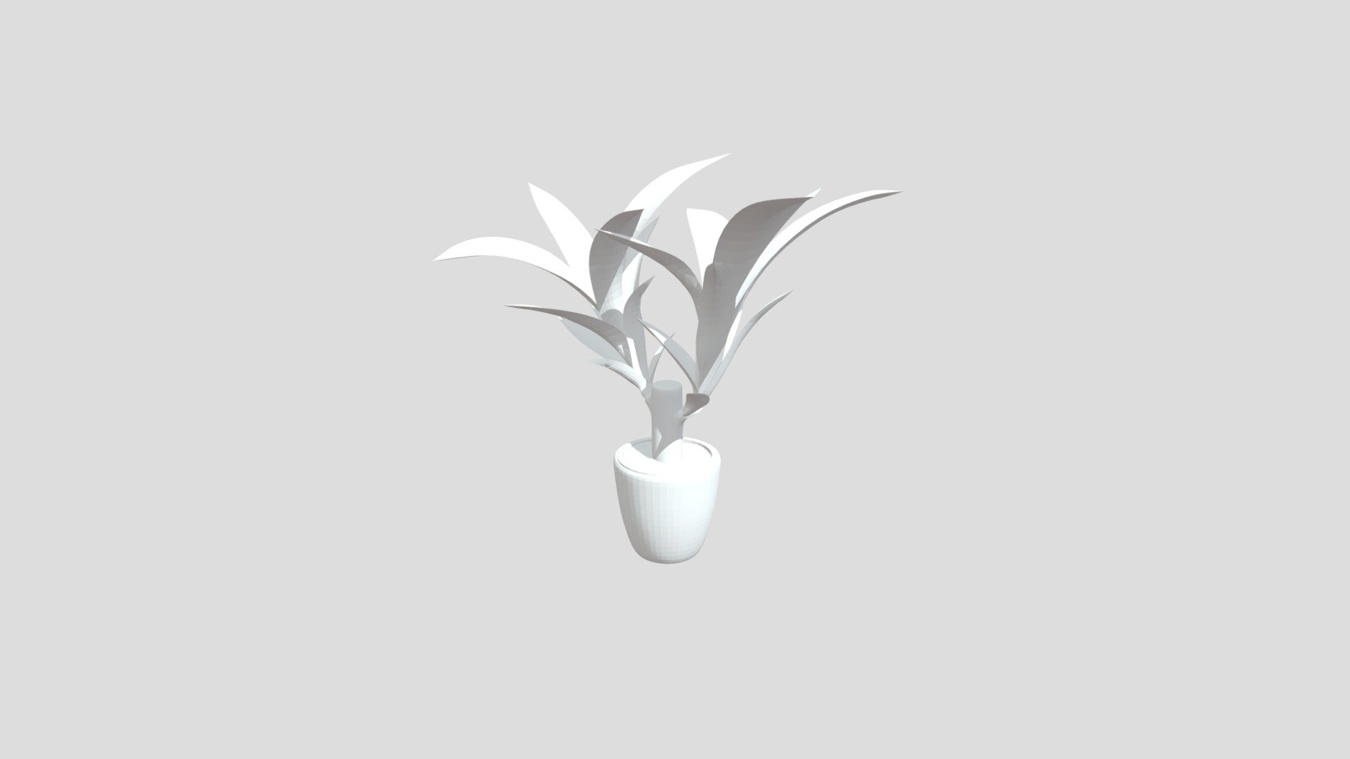 Indoor Pot Plant 2
