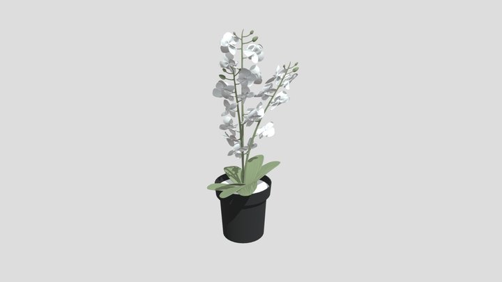 1a2 3D Model