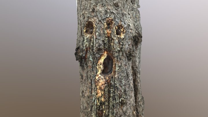 Tree of Agony 3D Model